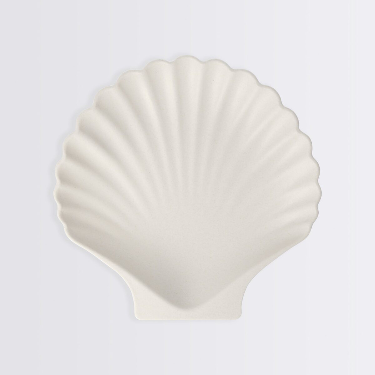 Natural Reusable Bamboo Shell Plates, Set of 6